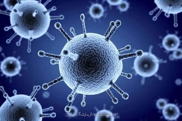 آیا همه گیری کووید-19 سبب انقراض ویروس آنفلوآنزا شده است؟