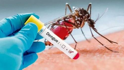 افزایش موارد مبتلا شدن به تب دنگی در پاکستان