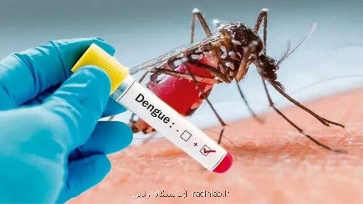 افزایش موارد مبتلا شدن به تب دنگی در پاکستان