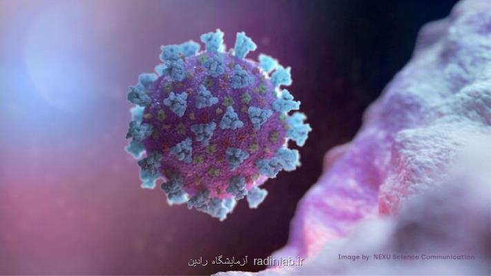 ردیابی سویه جدید کرونا توسط مرکز کنترل و پیش گیری از بیماریهای آمریکا