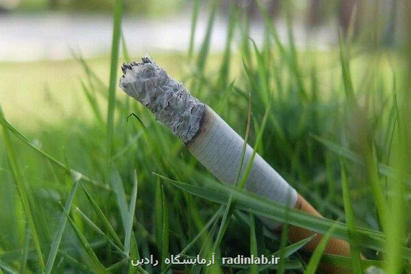 ایجاد حداقل ۲۰ نوع سرطان در اثر مصرف دخانیات