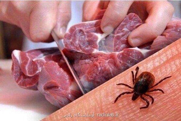 تعداد فوت شدگان تب خونریزی دهنده کریمه کنگو در عراق به ۳۰ نفر رسید