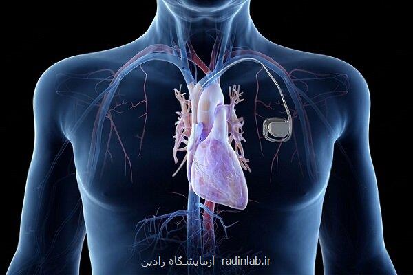 رسوبات پنهان چربی پیری قلب را تسریع می کنند