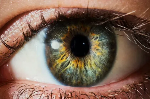 بازگشت بینایی با یک اختراع در کره جنوبی