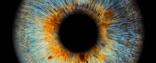محققان مسیر جدیدی برای تخلیه مایعات از پشت چشم شناسایی نمودند