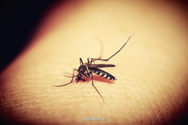 پیشبینی افزایش قربانیان HIV، مالاریا و سل در جهان
