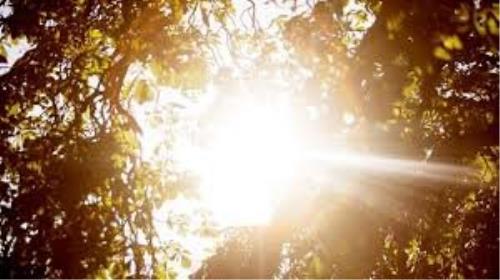 بررسی بیشتر رابطه بین قرار گرفتن در معرض آفتاب و صدمه دیدن كلیه